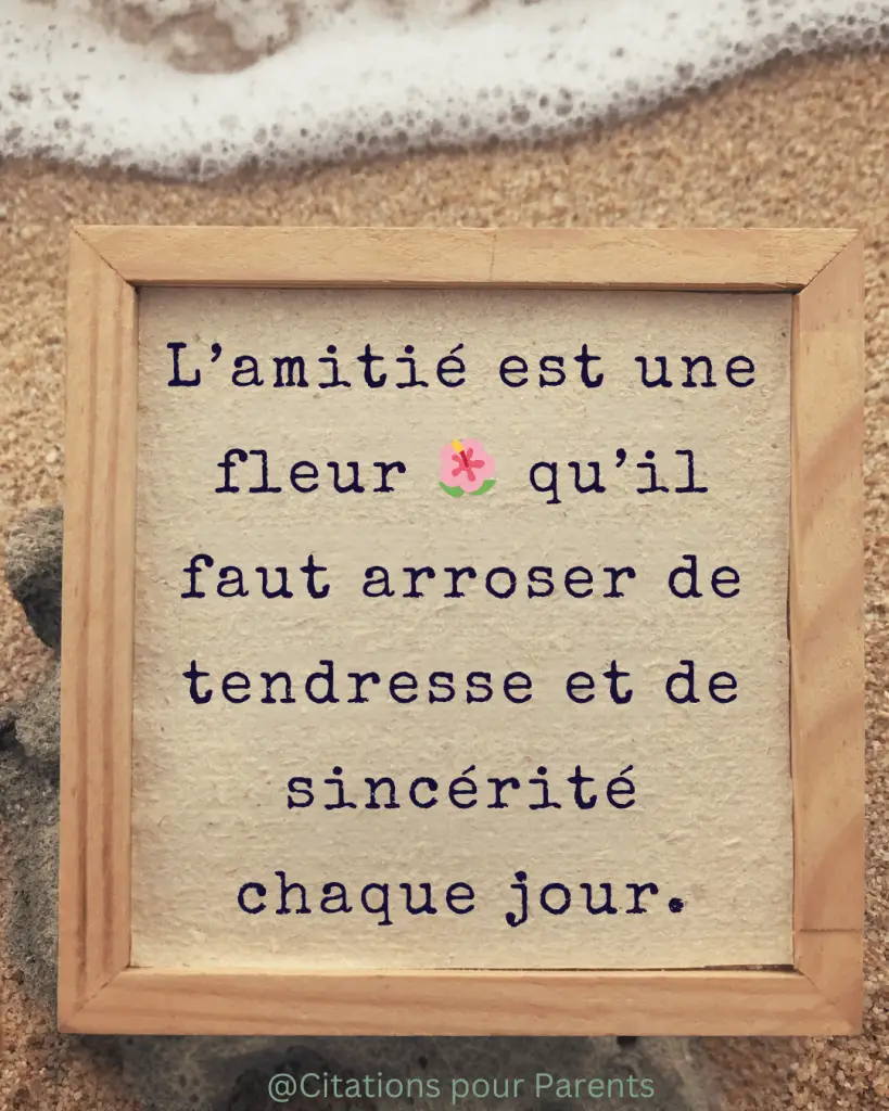 citations sur la véritable amitié L’amitié est une fleur 🌺 qu’il faut arroser de tendresse et de sincérité chaque jour. 