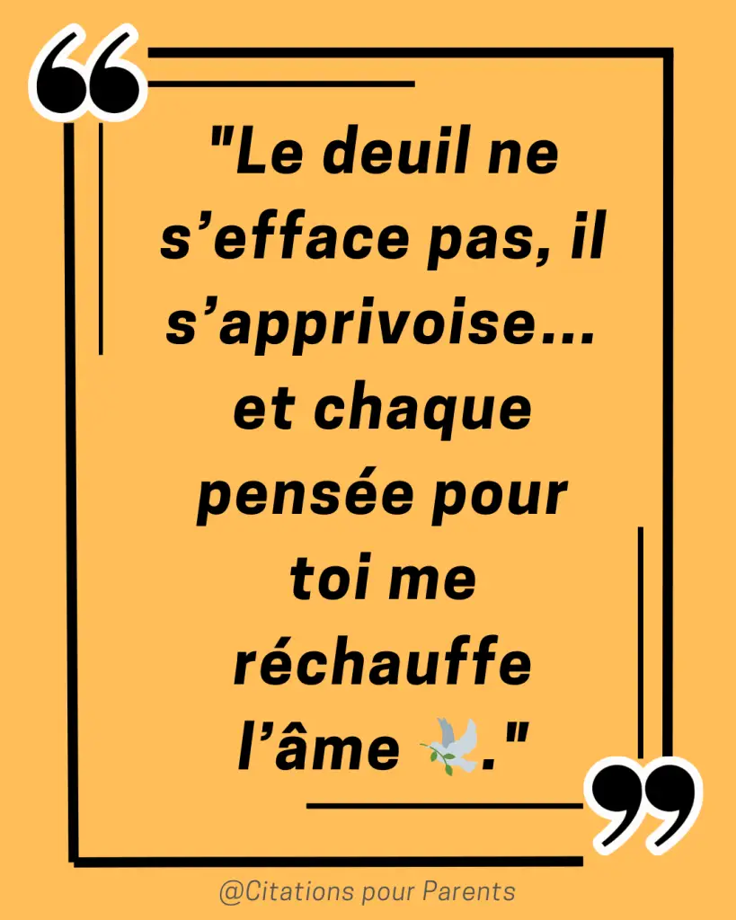 citations sur le deuil d'un papa décédé "Le deuil ne s’efface pas, il s’apprivoise… et chaque pensée pour toi me réchauffe l’âme 🕊️."